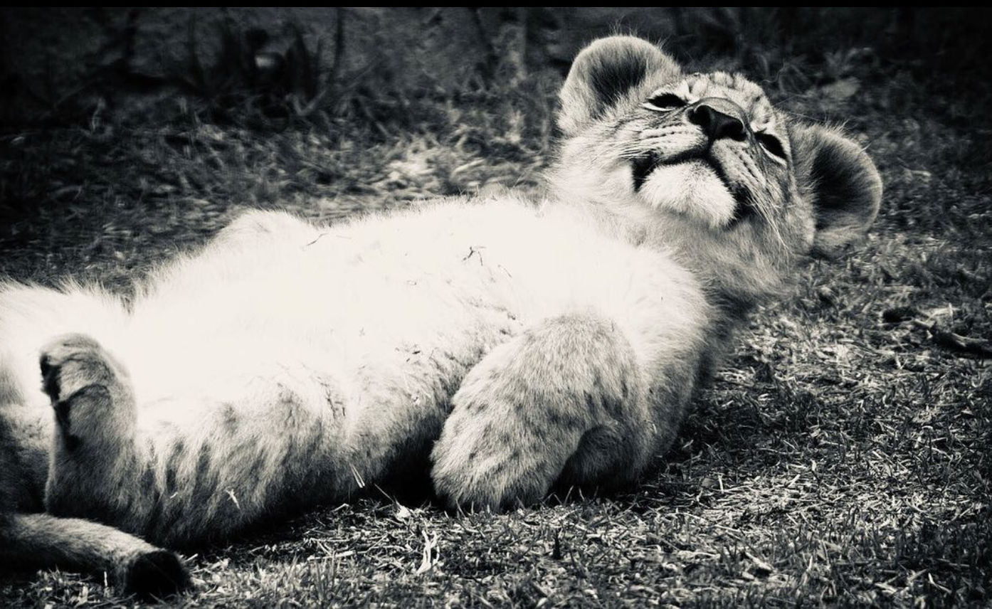 Screenshot 2023-02-01 at 15.25.55